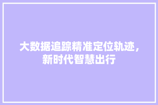 大数据追踪精准定位轨迹，新时代智慧出行