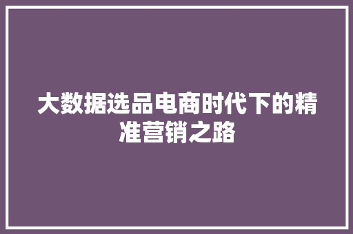 大数据选品电商时代下的精准营销之路