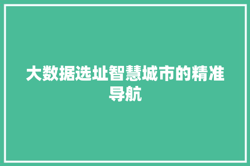 大数据选址智慧城市的精准导航