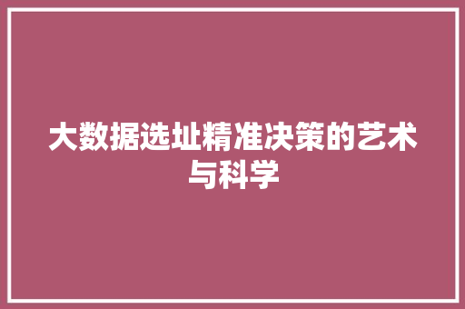 大数据选址精准决策的艺术与科学