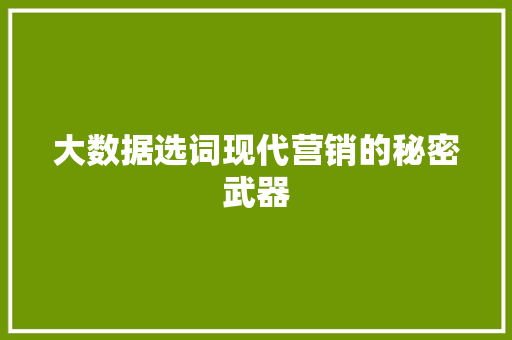 大数据选词现代营销的秘密武器