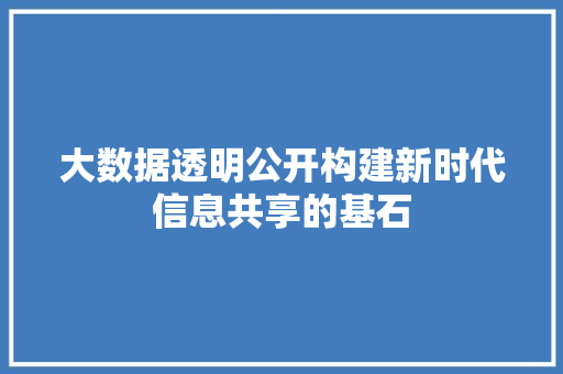 大数据透明公开构建新时代信息共享的基石