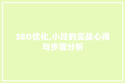 SEO优化,小玲的实战心得与步骤分析 市场营销范文