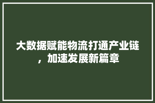 大数据赋能物流打通产业链，加速发展新篇章