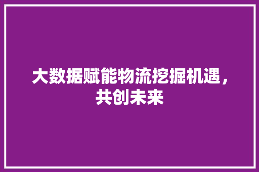 大数据赋能物流挖掘机遇，共创未来