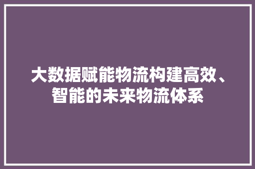 大数据赋能物流构建高效、智能的未来物流体系