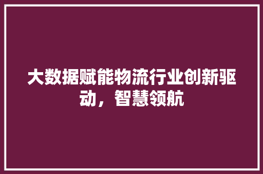 大数据赋能物流行业创新驱动，智慧领航