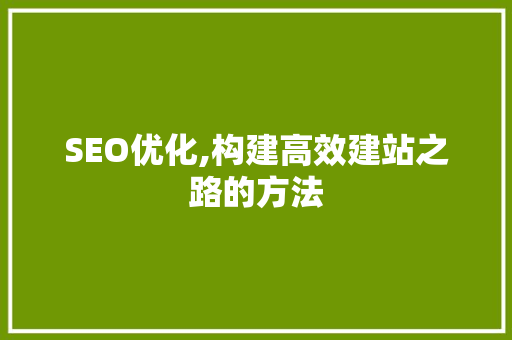 SEO优化,构建高效建站之路的方法 MySQL