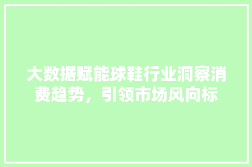 大数据赋能球鞋行业洞察消费趋势，引领市场风向标
