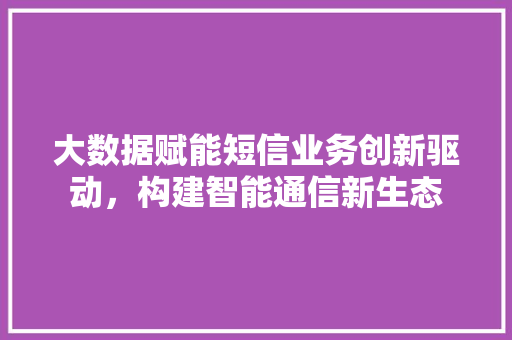 大数据赋能短信业务创新驱动，构建智能通信新生态