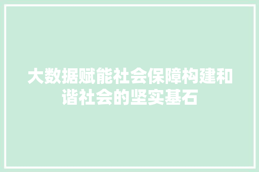大数据赋能社会保障构建和谐社会的坚实基石