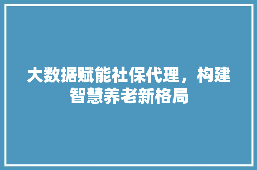大数据赋能社保代理，构建智慧养老新格局