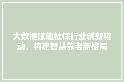 大数据赋能社保行业创新驱动，构建智慧养老新格局