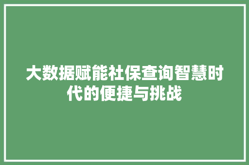 大数据赋能社保查询智慧时代的便捷与挑战