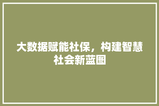 大数据赋能社保，构建智慧社会新蓝图