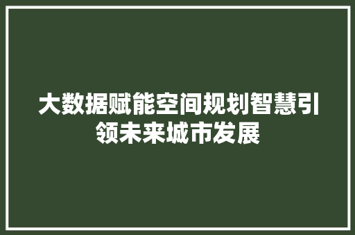 大数据赋能空间规划智慧引领未来城市发展