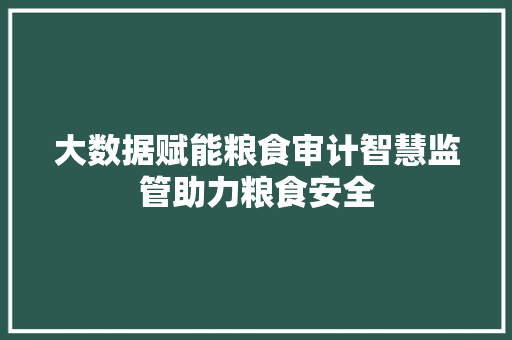 大数据赋能粮食审计智慧监管助力粮食安全