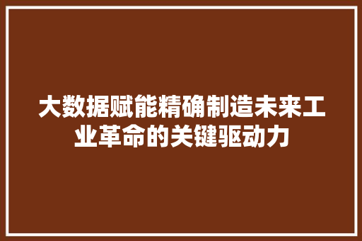 大数据赋能精确制造未来工业革命的关键驱动力
