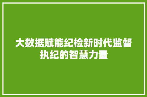 大数据赋能纪检新时代监督执纪的智慧力量