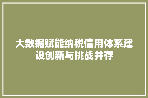 大数据赋能纳税信用体系建设创新与挑战并存