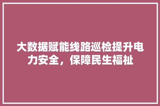 大数据赋能线路巡检提升电力安全，保障民生福祉