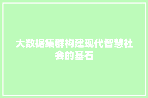 大数据集群构建现代智慧社会的基石