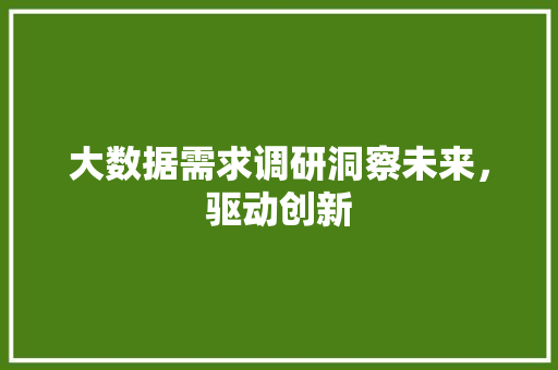 大数据需求调研洞察未来，驱动创新