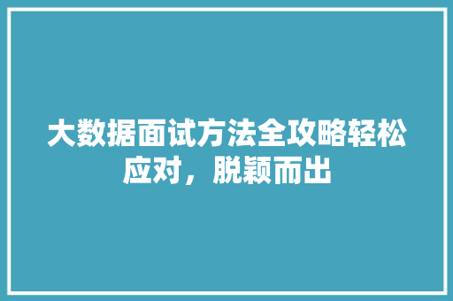 大数据面试方法全攻略轻松应对，脱颖而出