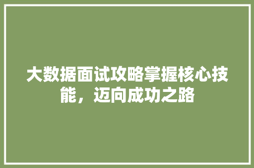 大数据面试攻略掌握核心技能，迈向成功之路