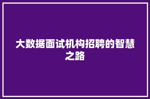 大数据面试机构招聘的智慧之路
