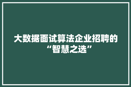 大数据面试算法企业招聘的“智慧之选”