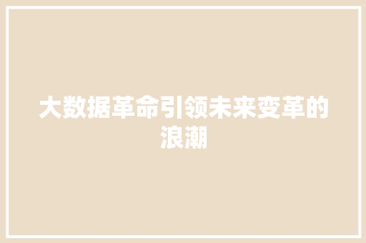 大数据革命引领未来变革的浪潮