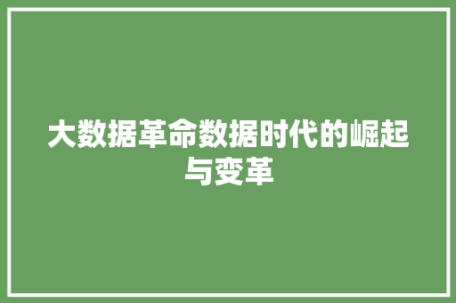 大数据革命数据时代的崛起与变革