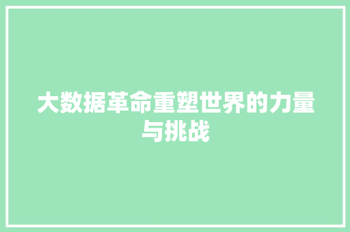 大数据革命重塑世界的力量与挑战