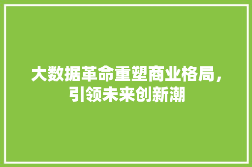 大数据革命重塑商业格局，引领未来创新潮