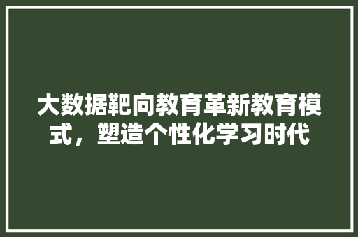 大数据靶向教育革新教育模式，塑造个性化学习时代