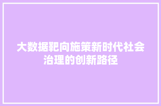 大数据靶向施策新时代社会治理的创新路径