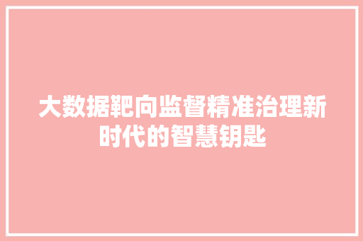 大数据靶向监督精准治理新时代的智慧钥匙