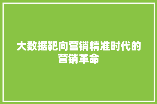 大数据靶向营销精准时代的营销革命