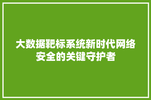 大数据靶标系统新时代网络安全的关键守护者
