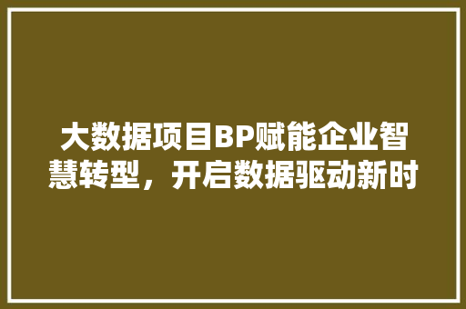 大数据项目BP赋能企业智慧转型，开启数据驱动新时代