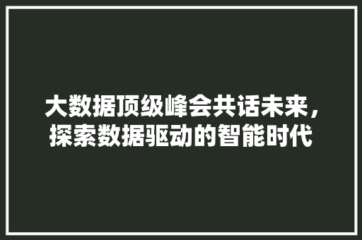 大数据顶级峰会共话未来，探索数据驱动的智能时代