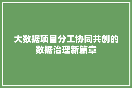 大数据项目分工协同共创的数据治理新篇章