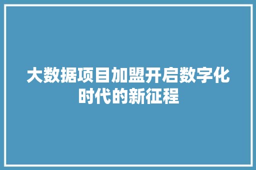大数据项目加盟开启数字化时代的新征程