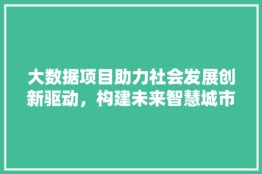 大数据项目助力社会发展创新驱动，构建未来智慧城市