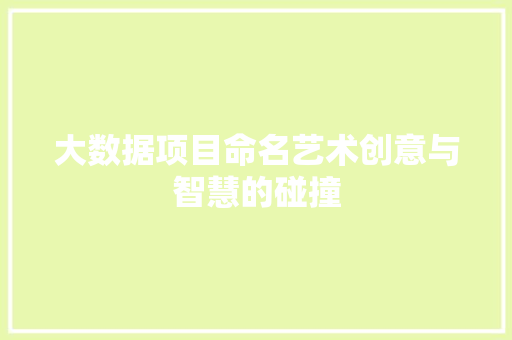 大数据项目命名艺术创意与智慧的碰撞