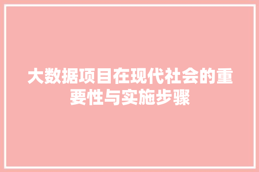大数据项目在现代社会的重要性与实施步骤