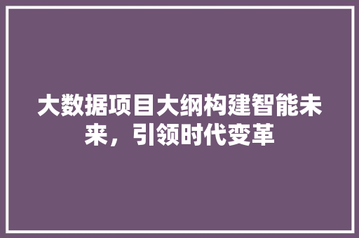 大数据项目大纲构建智能未来，引领时代变革
