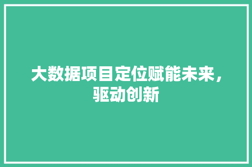 大数据项目定位赋能未来，驱动创新