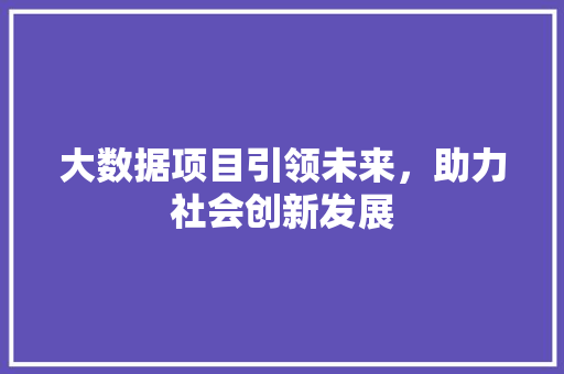 大数据项目引领未来，助力社会创新发展